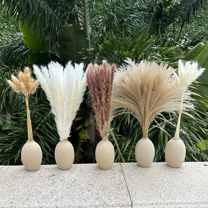 Pampas Grass Decor 110 pcs 17.5inch Natural Dried Pampas Grass-15Pcs White Pampas & 15Pcs Brown Pampas & 50Pcs Reed Grass& 30Pcs Bunny Tail Grass,Fluffy Dried Flowers for Home Decor Wedding Boho Decor