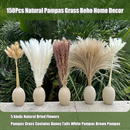 Pampas Grass Decor 110 pcs 17.5inch Natural Dried Pampas Grass-15Pcs White Pampas & 15Pcs Brown Pampas & 50Pcs Reed Grass& 30Pcs Bunny Tail Grass,Fluffy Dried Flowers for Home Decor Wedding Boho Decor