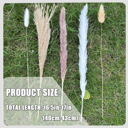 Pampas Grass Decor 110 pcs 17.5inch Natural Dried Pampas Grass-15Pcs White Pampas & 15Pcs Brown Pampas & 50Pcs Reed Grass& 30Pcs Bunny Tail Grass,Fluffy Dried Flowers for Home Decor Wedding Boho Decor