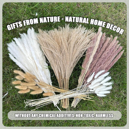 Pampas Grass Decor 110 pcs 17.5inch Natural Dried Pampas Grass-15Pcs White Pampas & 15Pcs Brown Pampas & 50Pcs Reed Grass& 30Pcs Bunny Tail Grass,Fluffy Dried Flowers for Home Decor Wedding Boho Decor