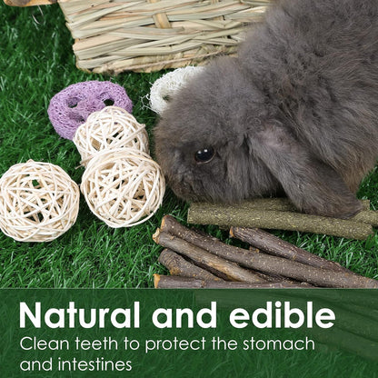 Bunny Grass House-Hand Made Edible Natural Grass Hideaway