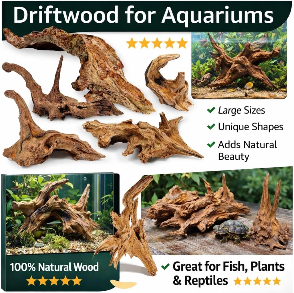 Azil Natural Aquarium Driftwood Root – Driftwood for Aquarium Decor, 170g~0.38lb (14″–16″), Fish Tanks, Terrariums, Aquascaping & Planted Tanks