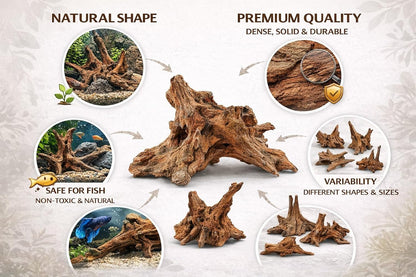 Azil Natural Aquarium Driftwood Root – Driftwood for Aquarium Decor, 170g~0.38lb (14″–16″), Fish Tanks, Terrariums, Aquascaping & Planted Tanks