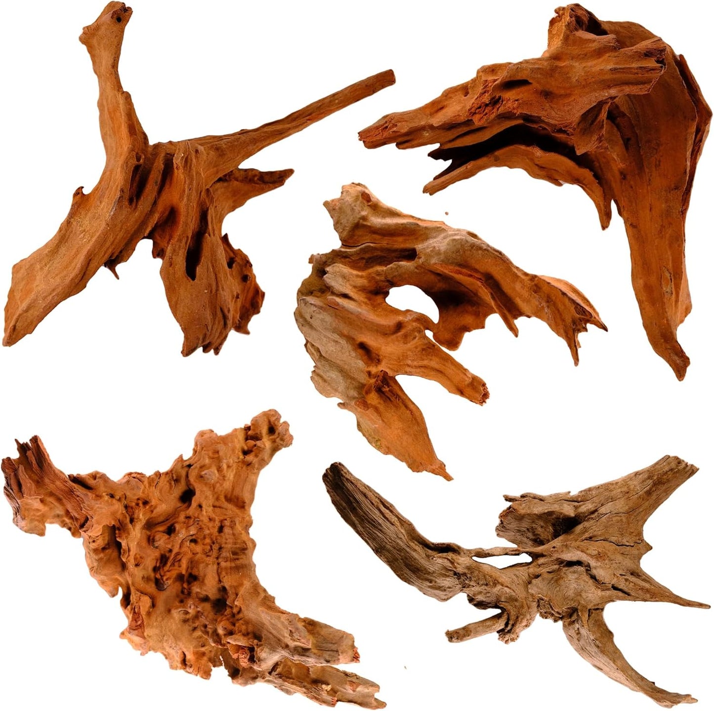 Azil Natural Aquarium Driftwood Root – Driftwood for Aquarium Decor, 170g~0.38lb (14″–16″), Fish Tanks, Terrariums, Aquascaping & Planted Tanks