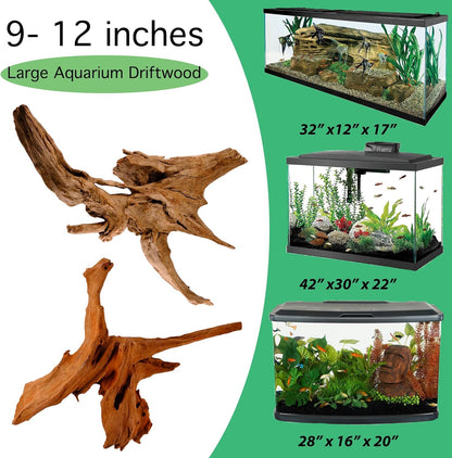 Azil Natural Aquarium Driftwood Root – Driftwood for Aquarium Decor, 170g~0.38lb (14″–16″), Fish Tanks, Terrariums, Aquascaping & Planted Tanks