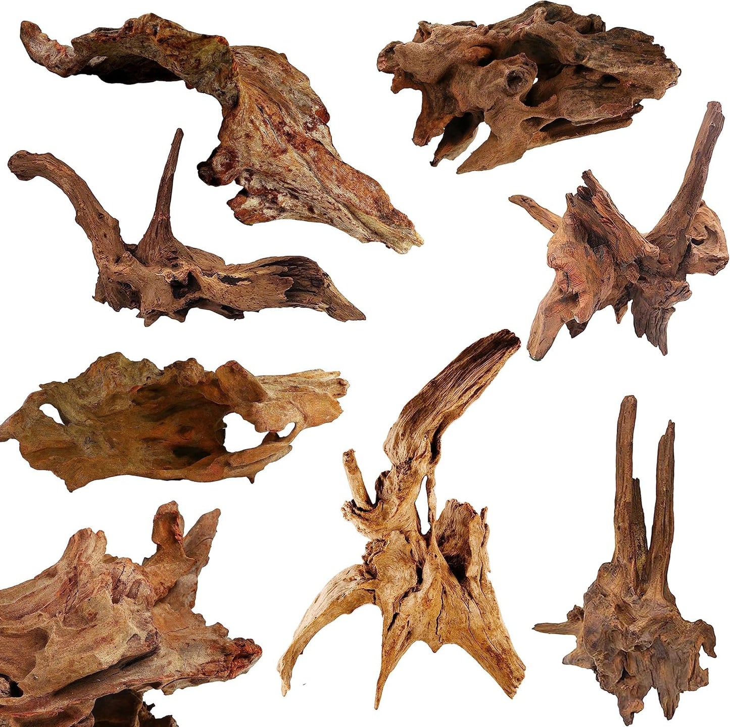 Azil Natural Aquarium Driftwood Root – Driftwood for Aquarium Decor, 170g~0.38lb (14″–16″), Fish Tanks, Terrariums, Aquascaping & Planted Tanks