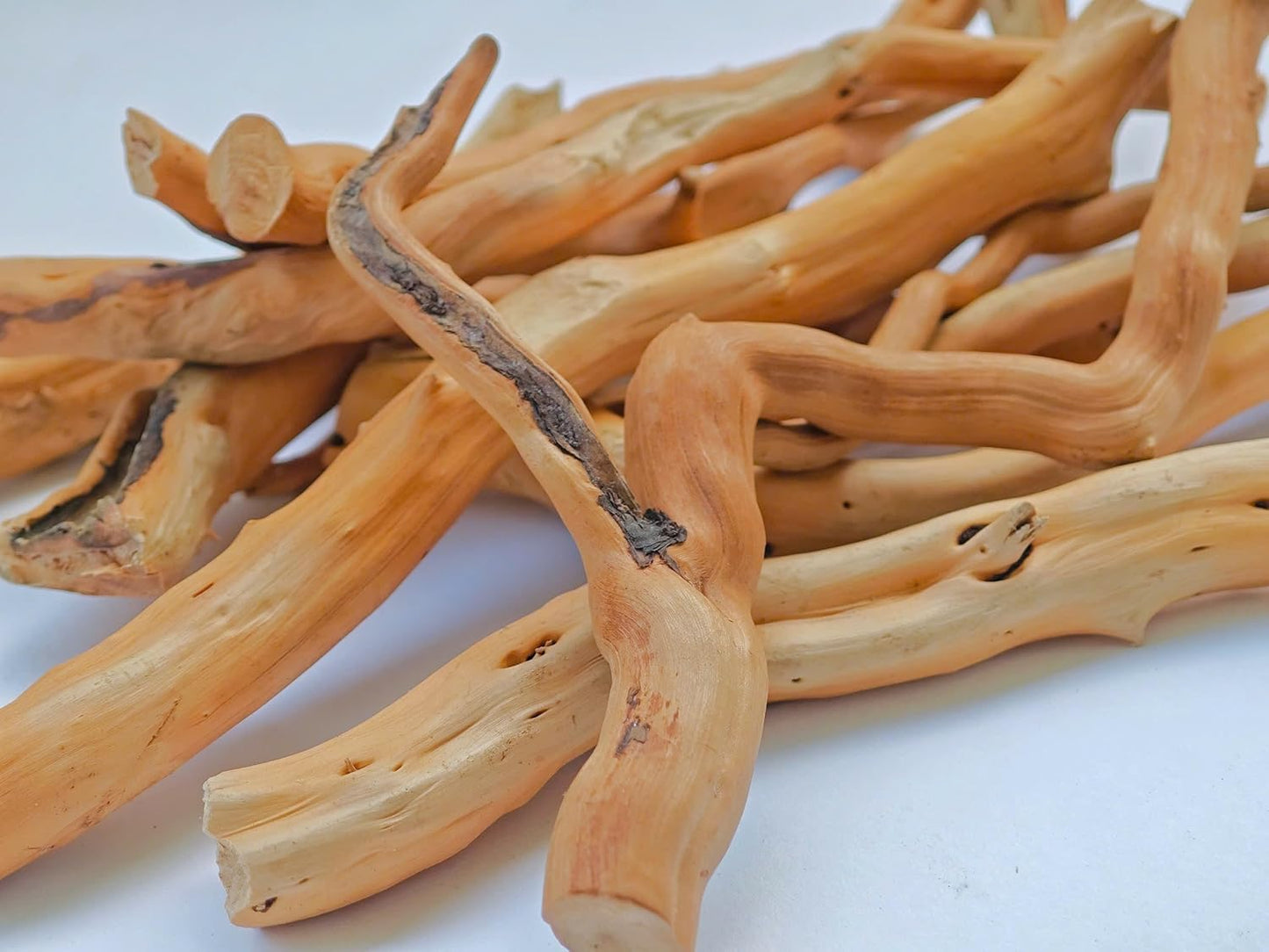 Azil Natural Aquarium Driftwood Root – Driftwood for Aquarium Decor, 170g~0.38lb (14″–16″), Fish Tanks, Terrariums, Aquascaping & Planted Tanks