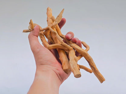 Azil Natural Aquarium Driftwood Root – Driftwood for Aquarium Decor, 170g~0.38lb (14″–16″), Fish Tanks, Terrariums, Aquascaping & Planted Tanks
