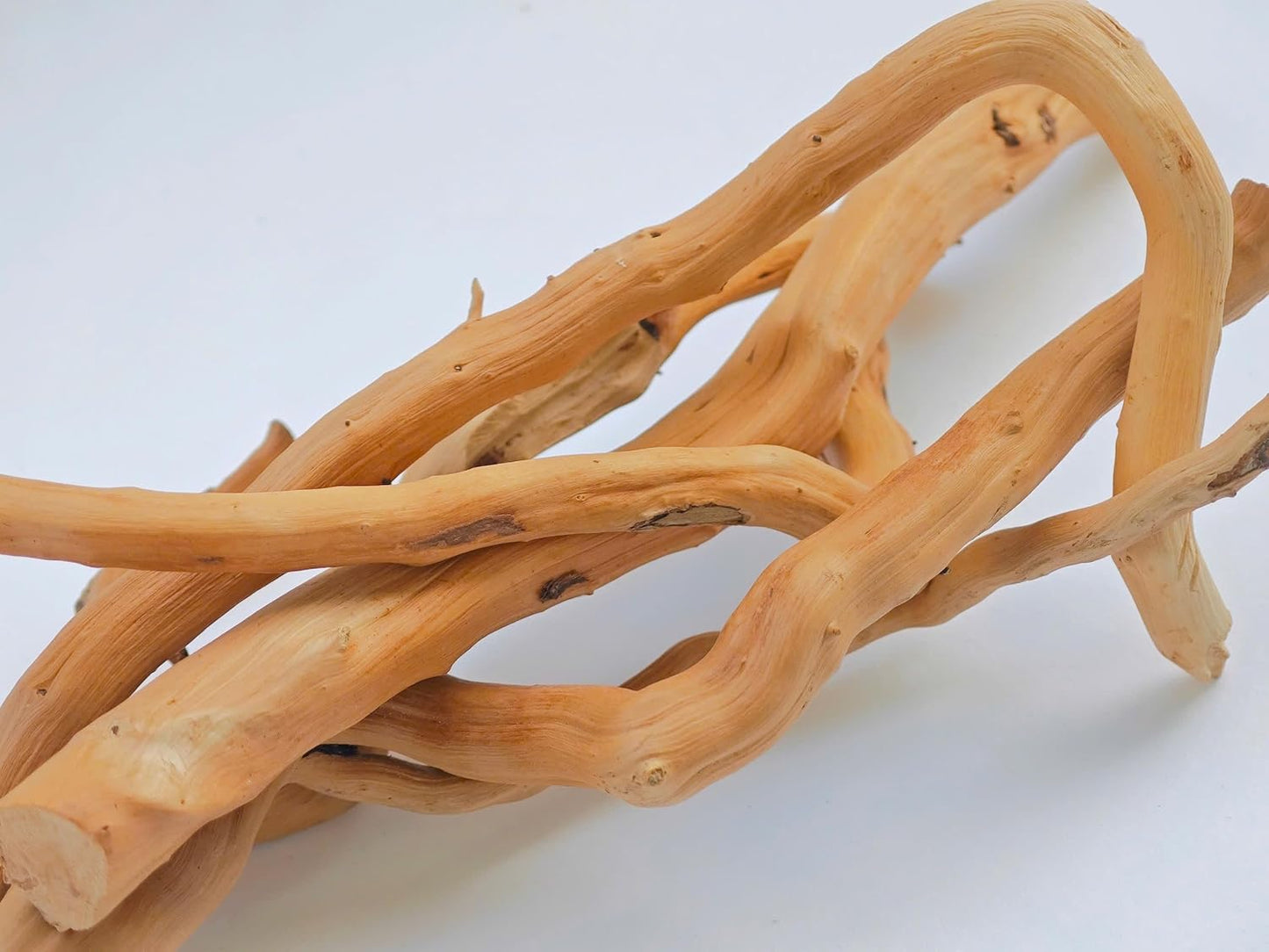 Azil Natural Aquarium Driftwood Root – Driftwood for Aquarium Decor, 170g~0.38lb (14″–16″), Fish Tanks, Terrariums, Aquascaping & Planted Tanks