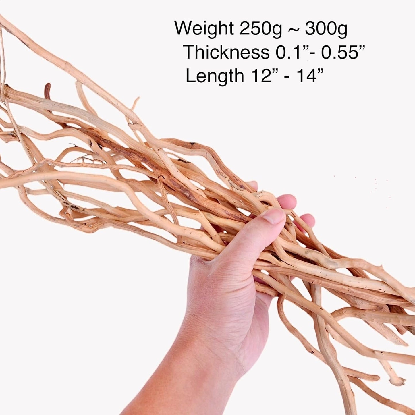 Azil Natural Aquarium Driftwood Root – Driftwood for Aquarium Decor, 170g~0.38lb (14″–16″), Fish Tanks, Terrariums, Aquascaping & Planted Tanks