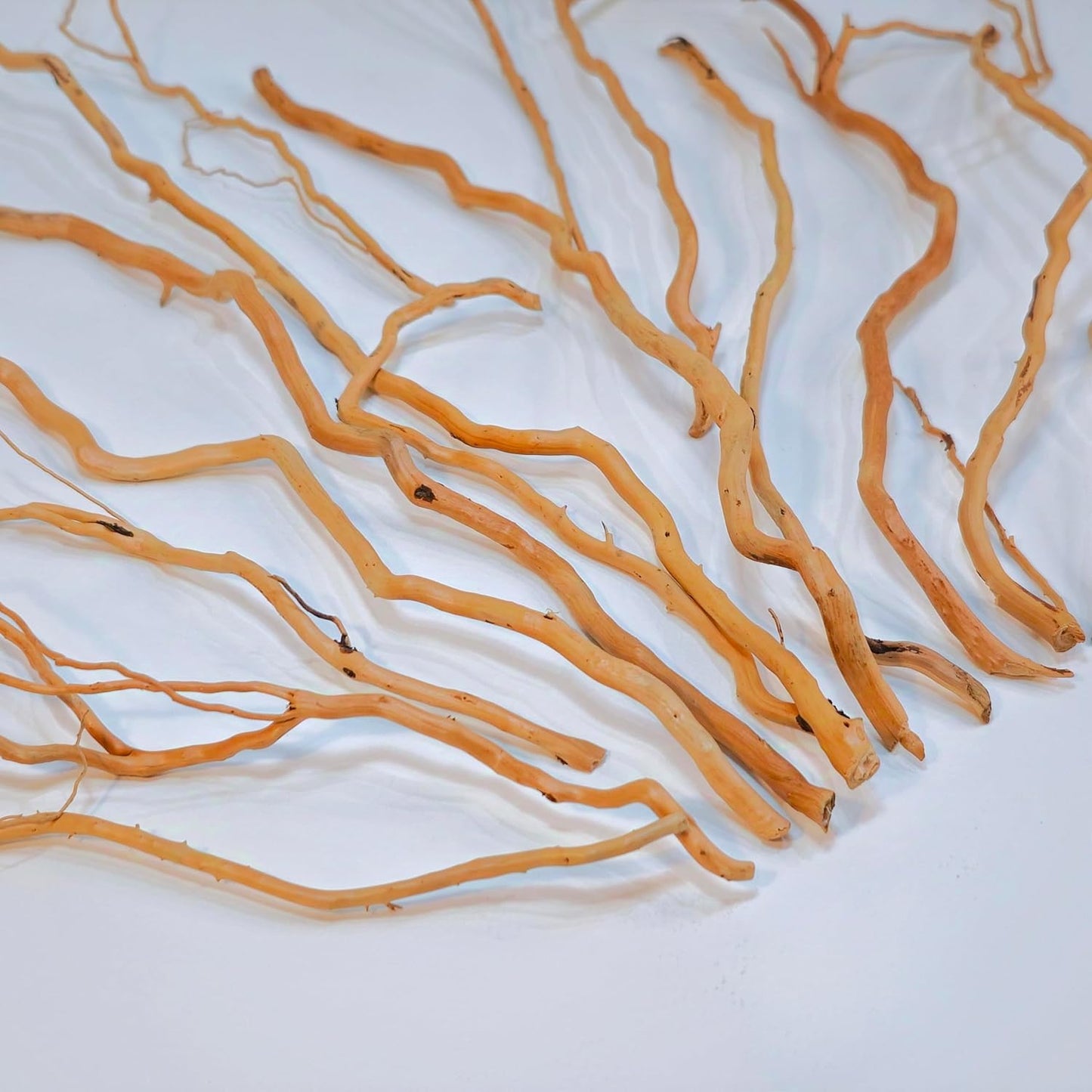 Azil Natural Aquarium Driftwood Root – Driftwood for Aquarium Decor, 170g~0.38lb (14″–16″), Fish Tanks, Terrariums, Aquascaping & Planted Tanks