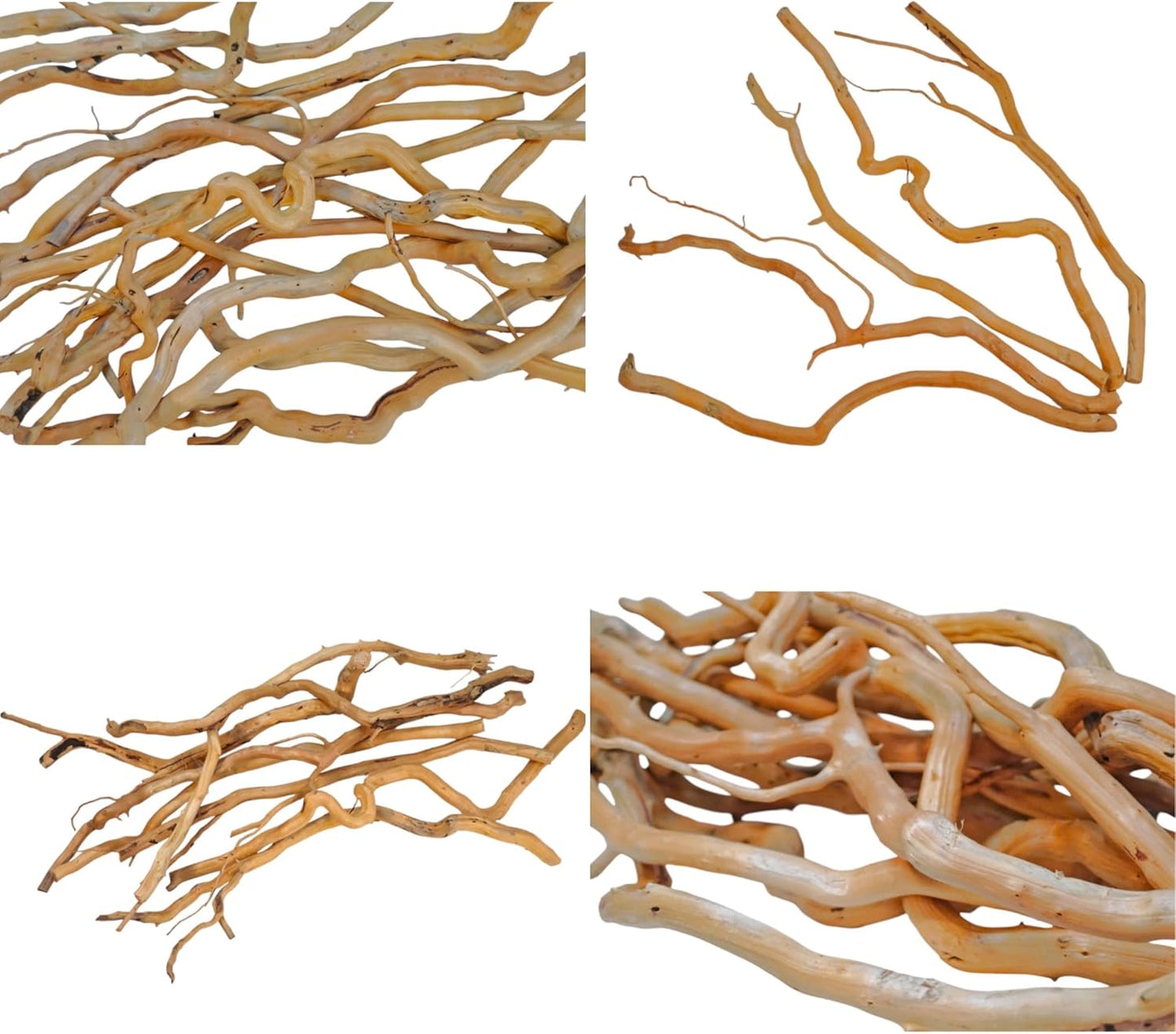 Azil Natural Aquarium Driftwood Root – Driftwood for Aquarium Decor, 170g~0.38lb (14″–16″), Fish Tanks, Terrariums, Aquascaping & Planted Tanks