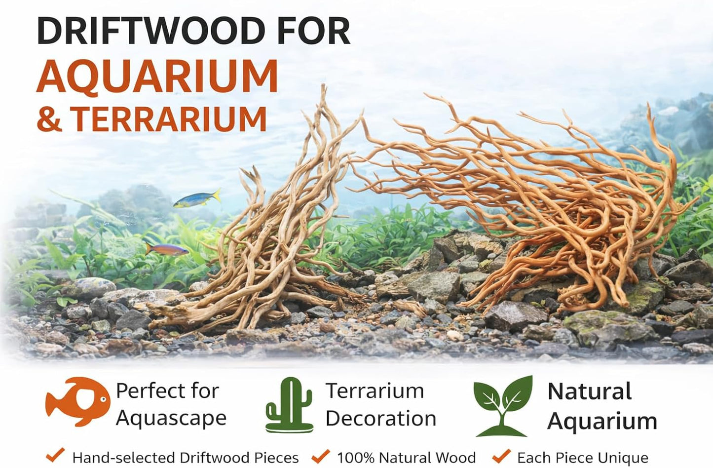 Azil Natural Aquarium Driftwood Root – Driftwood for Aquarium Decor, 170g~0.38lb (14″–16″), Fish Tanks, Terrariums, Aquascaping & Planted Tanks