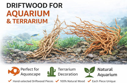 Azil Natural Aquarium Driftwood Root – Driftwood for Aquarium Decor, 170g~0.38lb (14″–16″), Fish Tanks, Terrariums, Aquascaping & Planted Tanks