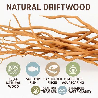 Azil Natural Aquarium Driftwood Root – Driftwood for Aquarium Decor, 170g~0.38lb (14″–16″), Fish Tanks, Terrariums, Aquascaping & Planted Tanks