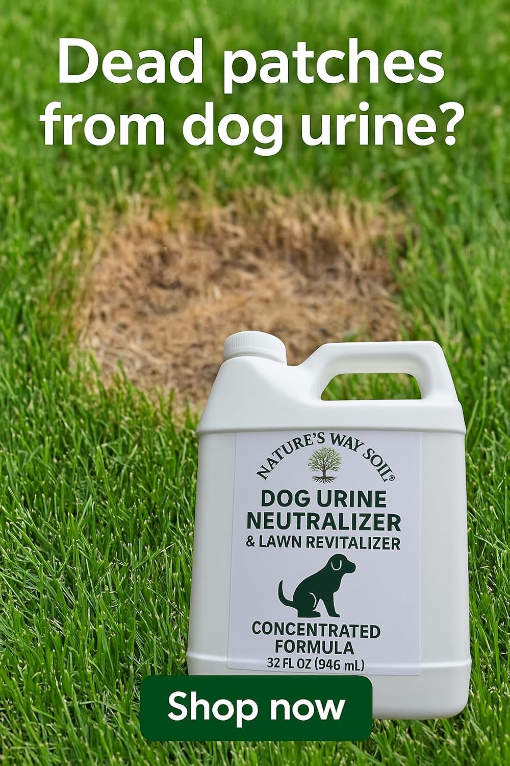 Dog Urine Neutralizer for Lawns, 32 oz – Dog Pee Grass Repair Spray for Yellow Spots, Brown Spots & Outdoor Odor – Bundle with 1 Gallon for 49.99 – Covers Up to 5,000 Sq Ft