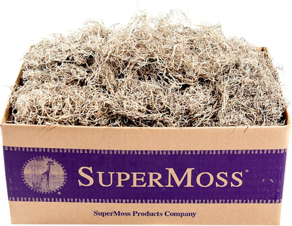 (26911) Spanish Moss Dried, Natural, 8 Ounces | Decorative Moss for Crafts, Potted Plants & Fairy Gardens, Vase Filler & Floral Arrangements, Indoor/Outdoor Garden Projects