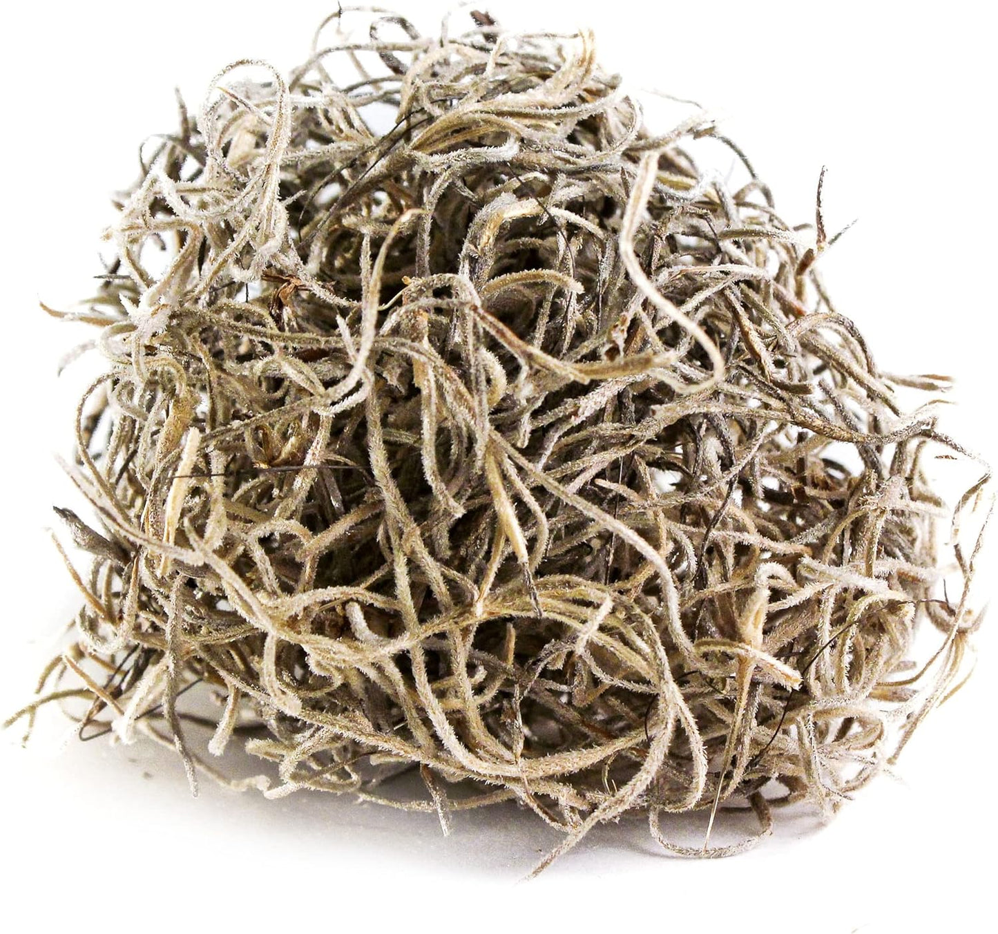(26911) Spanish Moss Dried, Natural, 8 Ounces | Decorative Moss for Crafts, Potted Plants & Fairy Gardens, Vase Filler & Floral Arrangements, Indoor/Outdoor Garden Projects