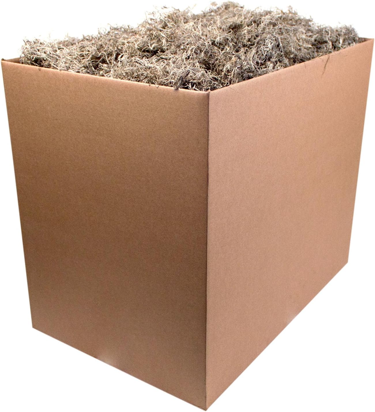 (26911) Spanish Moss Dried, Natural, 8 Ounces | Decorative Moss for Crafts, Potted Plants & Fairy Gardens, Vase Filler & Floral Arrangements, Indoor/Outdoor Garden Projects