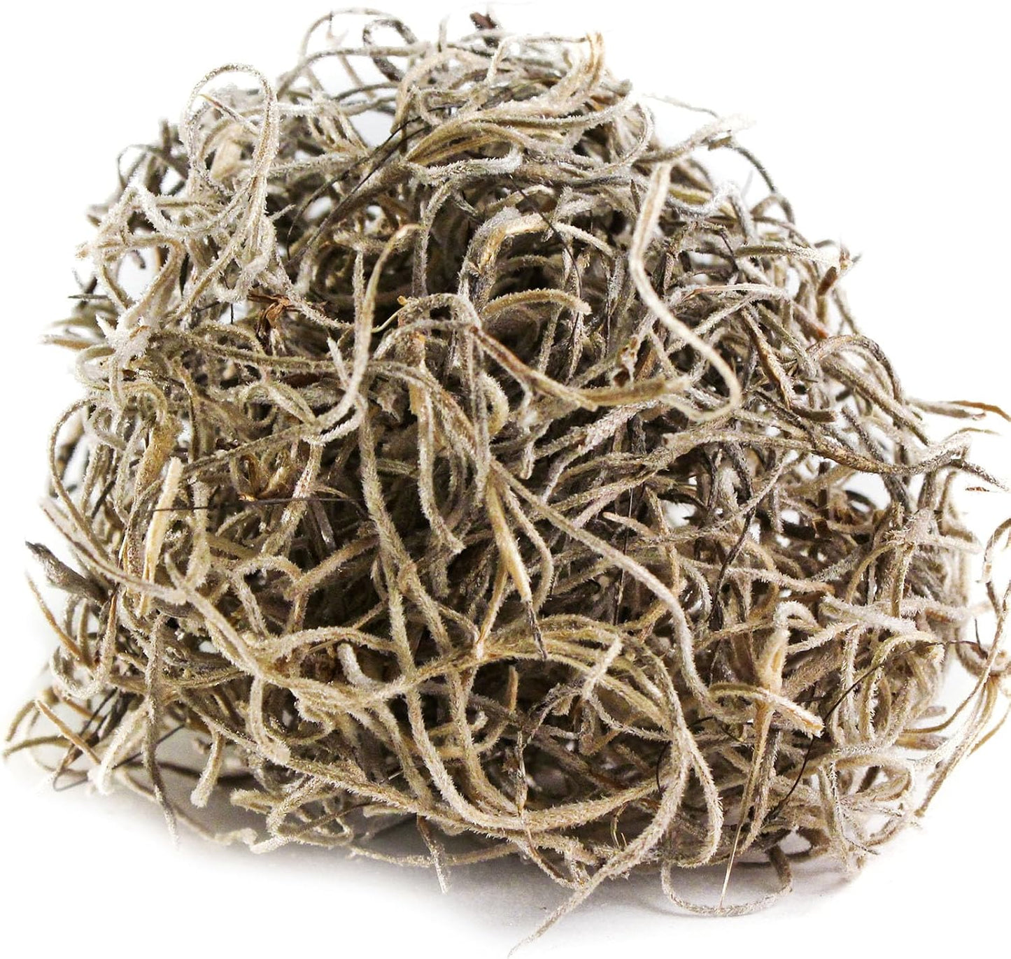 (26911) Spanish Moss Dried, Natural, 8 Ounces | Decorative Moss for Crafts, Potted Plants & Fairy Gardens, Vase Filler & Floral Arrangements, Indoor/Outdoor Garden Projects