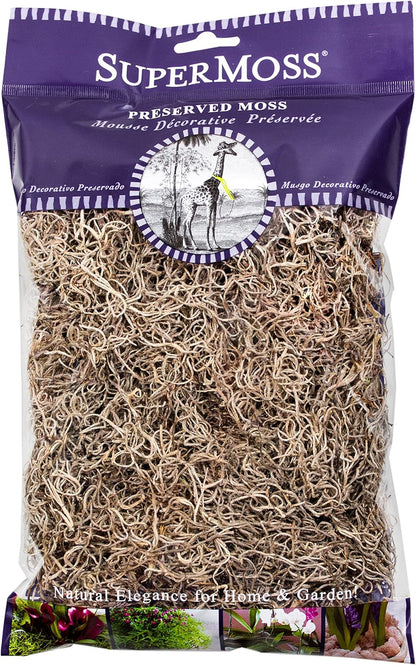 (26911) Spanish Moss Dried, Natural, 8 Ounces | Decorative Moss for Crafts, Potted Plants & Fairy Gardens, Vase Filler & Floral Arrangements, Indoor/Outdoor Garden Projects