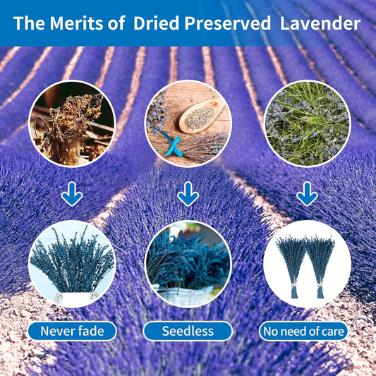 Dried Lavender Flowers Real Stems, Preserved Lavender Bouquet 15-17" Purple | 100% Natural, lavender bundle for shower, home decor, vase filler, wedding decor, aromatherapy, DIY crafts, 50g (1.76 oz)