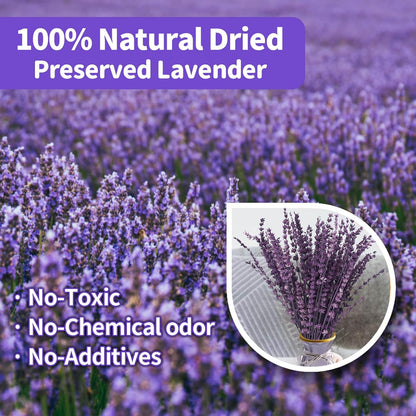 Dried Lavender Flowers Real Stems, Preserved Lavender Bouquet 15-17" Purple | 100% Natural, lavender bundle for shower, home decor, vase filler, wedding decor, aromatherapy, DIY crafts, 50g (1.76 oz)