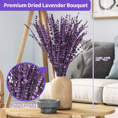 Dried Lavender Flowers Real Stems, Preserved Lavender Bouquet 15-17" Purple | 100% Natural, lavender bundle for shower, home decor, vase filler, wedding decor, aromatherapy, DIY crafts, 50g (1.76 oz)