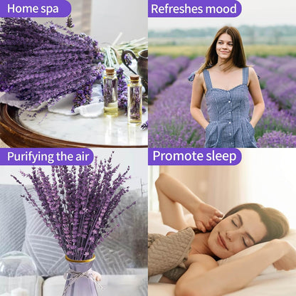Dried Lavender Flowers Real Stems, Preserved Lavender Bouquet 15-17" Purple | 100% Natural, lavender bundle for shower, home decor, vase filler, wedding decor, aromatherapy, DIY crafts, 50g (1.76 oz)