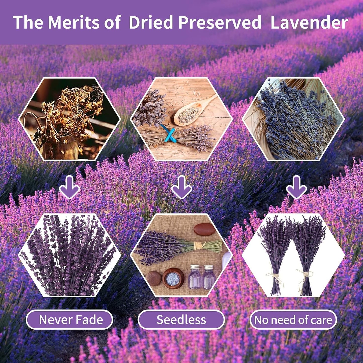 Dried Lavender Flowers Real Stems, Preserved Lavender Bouquet 15-17" Purple | 100% Natural, lavender bundle for shower, home decor, vase filler, wedding decor, aromatherapy, DIY crafts, 50g (1.76 oz)