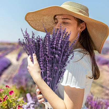 Dried Lavender Flowers Real Stems, Preserved Lavender Bouquet 15-17" Purple | 100% Natural, lavender bundle for shower, home decor, vase filler, wedding decor, aromatherapy, DIY crafts, 50g (1.76 oz)