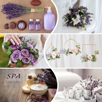 Dried Lavender Flowers Real Stems, Preserved Lavender Bouquet 15-17" Purple | 100% Natural, lavender bundle for shower, home decor, vase filler, wedding decor, aromatherapy, DIY crafts, 50g (1.76 oz)