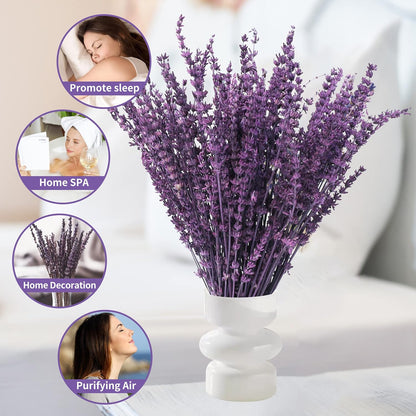 Dried Lavender Flowers Real Stems, Preserved Lavender Bouquet 15-17" Purple | 100% Natural, lavender bundle for shower, home decor, vase filler, wedding decor, aromatherapy, DIY crafts, 50g (1.76 oz)