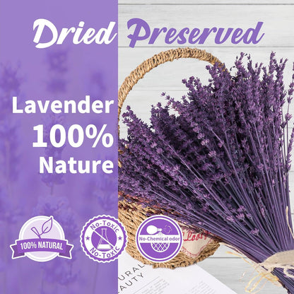 Dried Lavender Flowers Real Stems, Preserved Lavender Bouquet 15-17" Purple | 100% Natural, lavender bundle for shower, home decor, vase filler, wedding decor, aromatherapy, DIY crafts, 50g (1.76 oz)