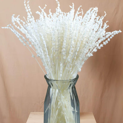 Dried Lavender Flowers Real Stems, Preserved Lavender Bouquet 15-17" Purple | 100% Natural, lavender bundle for shower, home decor, vase filler, wedding decor, aromatherapy, DIY crafts, 50g (1.76 oz)