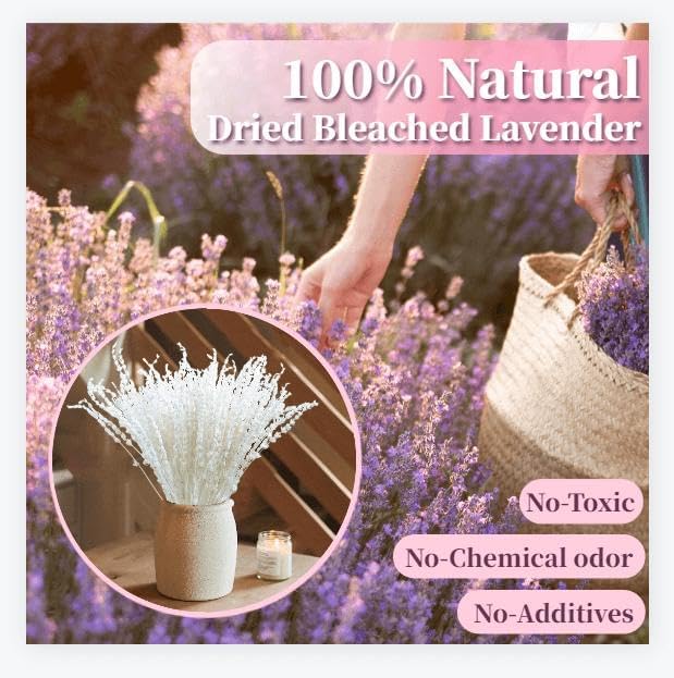 Dried Lavender Flowers Real Stems, Preserved Lavender Bouquet 15-17" Purple | 100% Natural, lavender bundle for shower, home decor, vase filler, wedding decor, aromatherapy, DIY crafts, 50g (1.76 oz)
