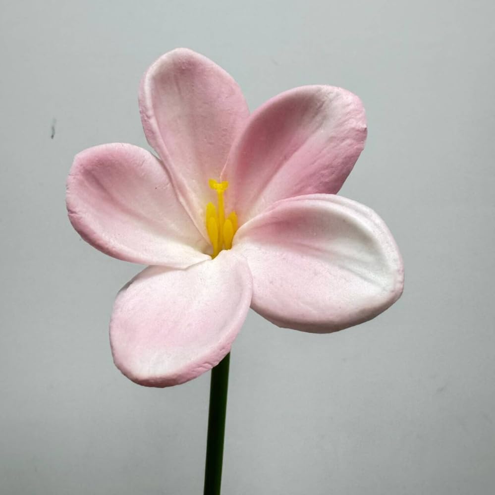 10 pcs White Artificial Plumeria Flowers with Stems,13inch Real Touch | Lifelike Frangipani Fake Flower Bouquet for Home Office Wedding Engagement Party Spring Flowers Decor,Vase Filler,Patio Decor