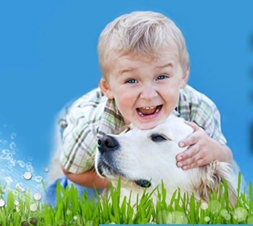 + Turf Cleaner for Pet Urine Outdoor – Artificial Turf Cleaner Deodorizer Concentrate – Fake Grass & Yard Deodorizer for Dog Urine & Feces – Enzyme Kennel Odor Eliminator 5 Gallon