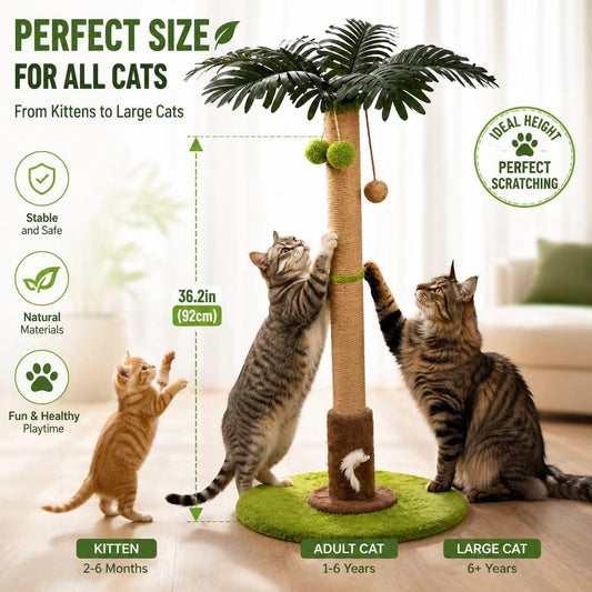 Cat Scratching Post, Sisal Scratcher with Toys for Indoor Cats