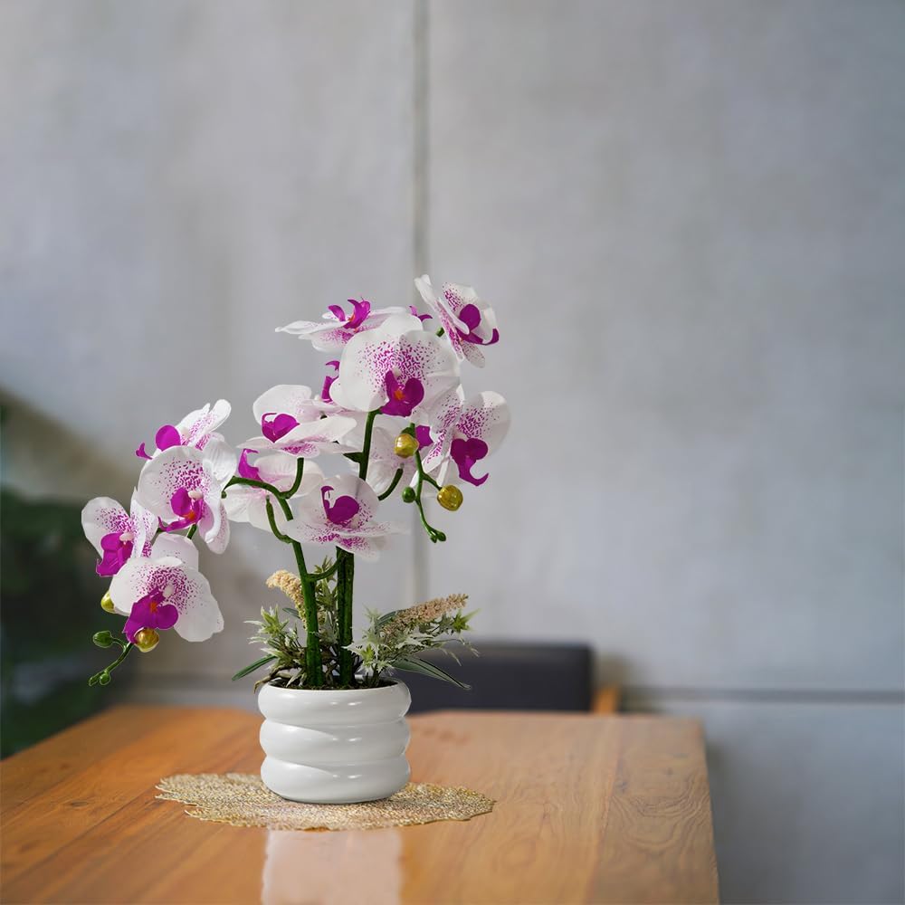 Artificial Orchids Flowers with Vase for Table Centerpieces, Real Touch Faux White Orchid Phalaenopsis in Ceramic Vase for Home Wedding Kitchen Decoration (White, Purple)
