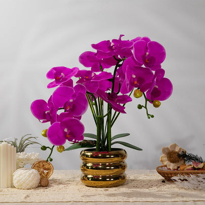 Artificial Orchids Flowers with Vase for Table Centerpieces, Real Touch Faux White Orchid Phalaenopsis in Ceramic Vase for Home Wedding Kitchen Decoration (White, Purple)