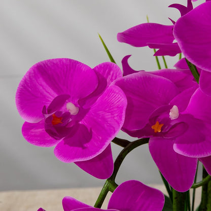 Artificial Orchids Flowers with Vase for Table Centerpieces, Real Touch Faux White Orchid Phalaenopsis in Ceramic Vase for Home Wedding Kitchen Decoration (White, Purple)