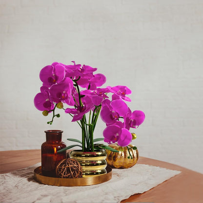 Artificial Orchids Flowers with Vase for Table Centerpieces, Real Touch Faux White Orchid Phalaenopsis in Ceramic Vase for Home Wedding Kitchen Decoration (White, Purple)