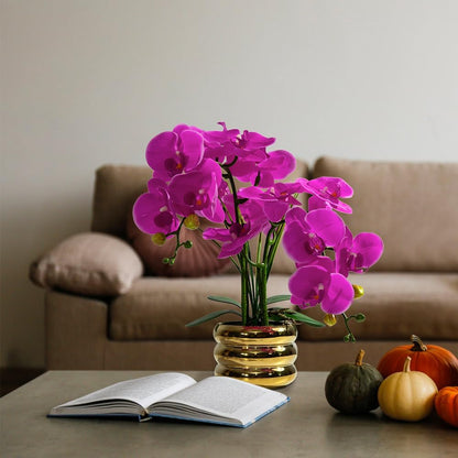 Artificial Orchids Flowers with Vase for Table Centerpieces, Real Touch Faux White Orchid Phalaenopsis in Ceramic Vase for Home Wedding Kitchen Decoration (White, Purple)