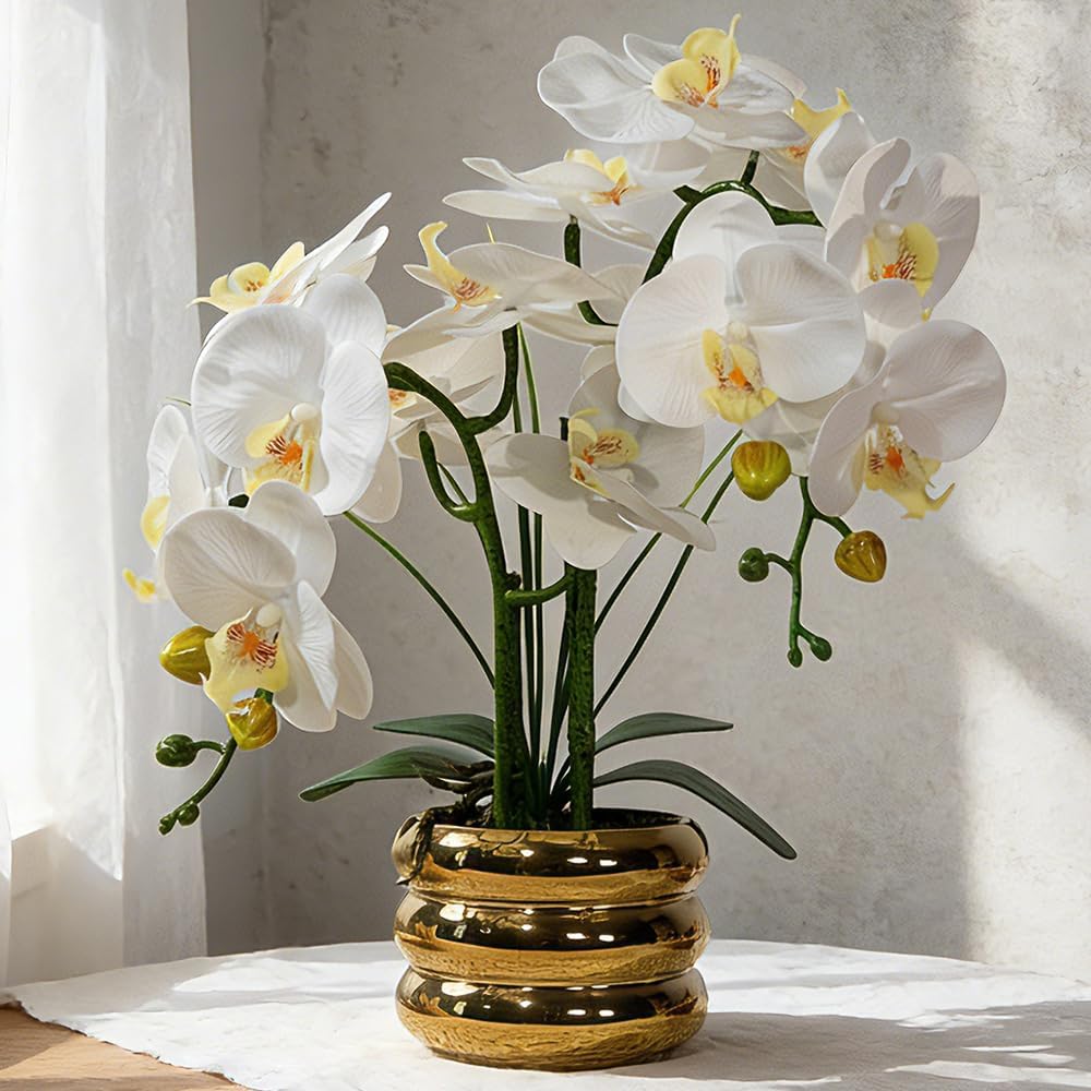 Artificial Orchids Flowers with Vase for Table Centerpieces, Real Touch Faux White Orchid Phalaenopsis in Ceramic Vase for Home Wedding Kitchen Decoration (White, Purple)