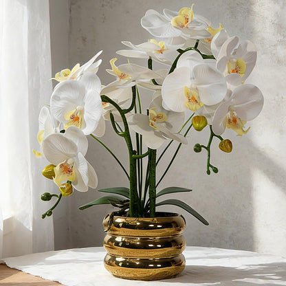 Artificial Orchids Flowers with Vase for Table Centerpieces, Real Touch Faux White Orchid Phalaenopsis in Ceramic Vase for Home Wedding Kitchen Decoration (White, Purple)