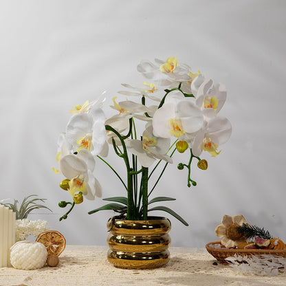 Artificial Orchids Flowers with Vase for Table Centerpieces, Real Touch Faux White Orchid Phalaenopsis in Ceramic Vase for Home Wedding Kitchen Decoration (White, Purple)
