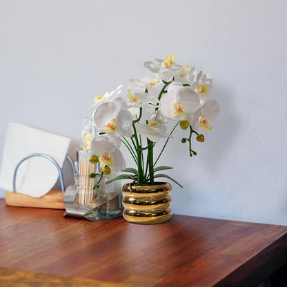 Artificial Orchids Flowers with Vase for Table Centerpieces, Real Touch Faux White Orchid Phalaenopsis in Ceramic Vase for Home Wedding Kitchen Decoration (White, Purple)