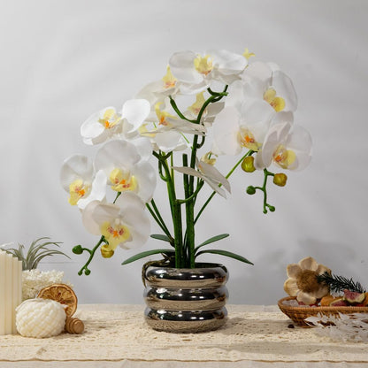 Artificial Orchids Flowers with Vase for Table Centerpieces, Real Touch Faux White Orchid Phalaenopsis in Ceramic Vase for Home Wedding Kitchen Decoration (White, Purple)
