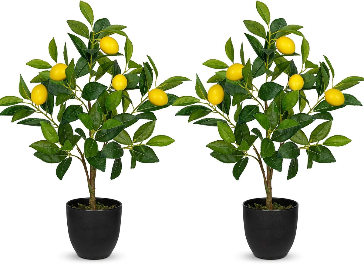 2Ft Artificial Peach Trees, 2 Packs Large Artificial Plants Indoor with Black Pots Faux Potted Trees Fake Floor Plants Peach Decorations for Home Living Room Office, Bedroom Table, Desk